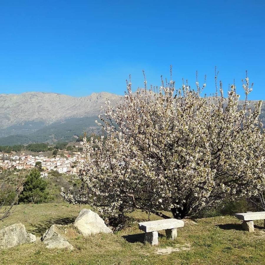 Hotel Rural Los Molinillos 엘아레날 외부 사진